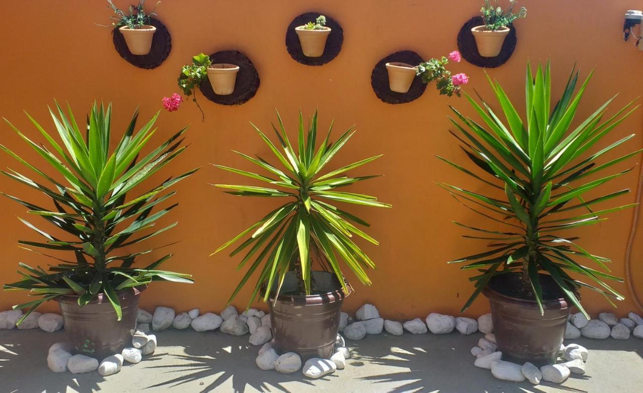 Residencial Maria Antonia Apartment Governador Celso Ramos Bagian luar foto